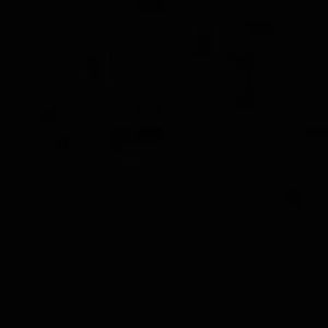 Meet your Posher, Alessandra